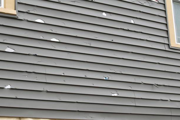 Best Hoarding Cleanup  in Bridgeport, AL