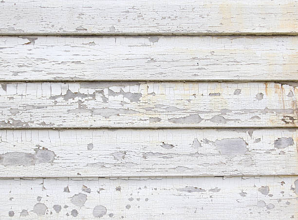 Best Property Management Cleanouts  in Bridgeport, AL